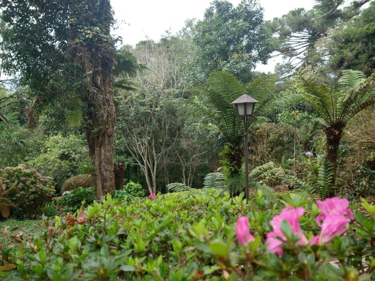 Pousada Estrela Da Serra Monte Verde  Exterior photo